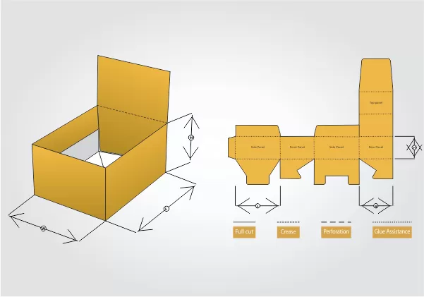 What are Showcase Exhibit Boxes?